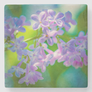 Purple Lilac Flowers Stone Coaster