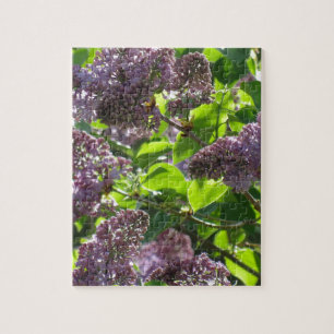 Purple Lilac Jigsaw Puzzle