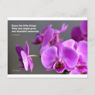Purple lilac mauve orchid, inspirational quote postcard