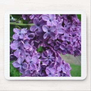 purple lilac mousepad