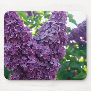 Purple Lilacs Mouse Pad