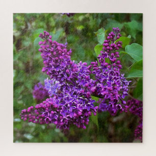 Purple Lilacs on a Spring Day Acrylic Print Jigsaw Puzzle