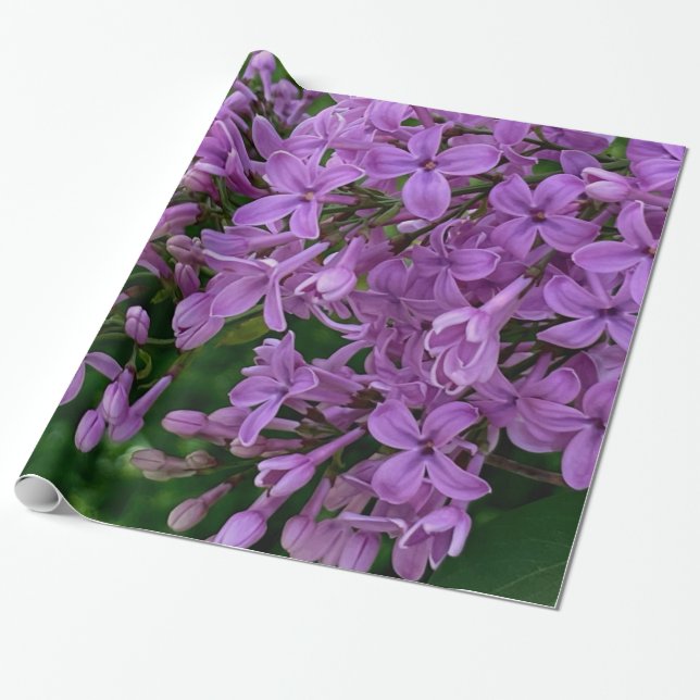 Purple lilacs romantic elegant purple floral photo wrapping paper (Unrolled)