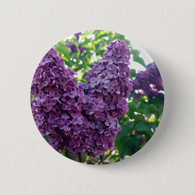 Purple Lilacs Round Button (Front)