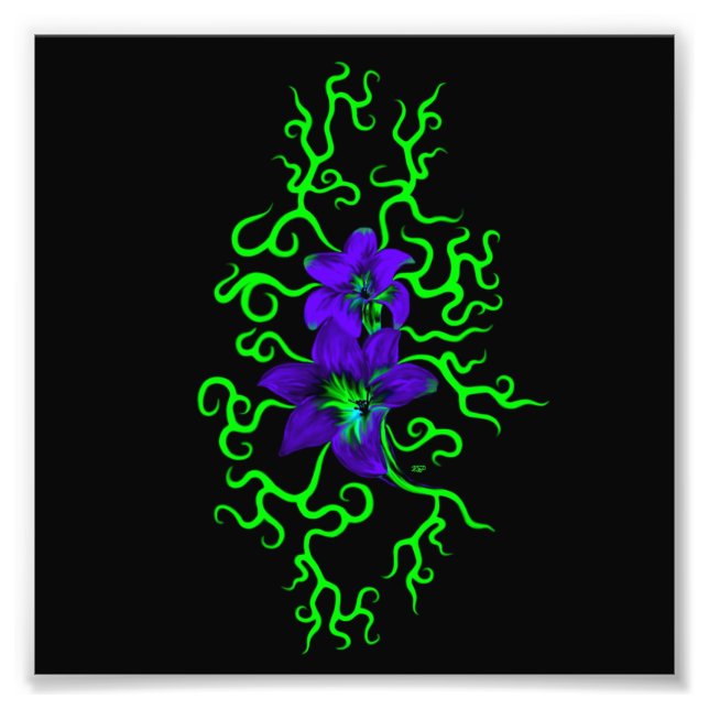 Purple Lily Flower on black Photo Print (Front)