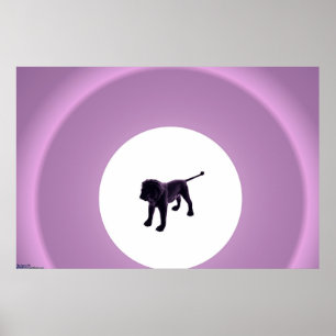 Purple Lion Poster