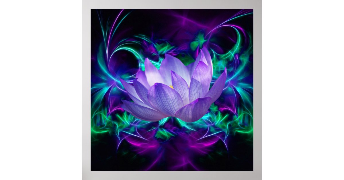 Purple Lotus flower and its meaning Poster | Zazzle
