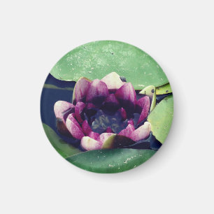 Purple Lotus Flower Photo  MagnetPurple Lotus Magnet