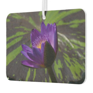 Purple Lotus Waterlily Car Air Freshener