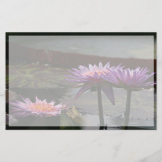 Purple Lotus Waterlily Flowers