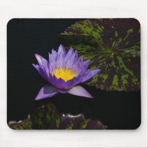 Purple Lotus Waterlily Mouse Pad