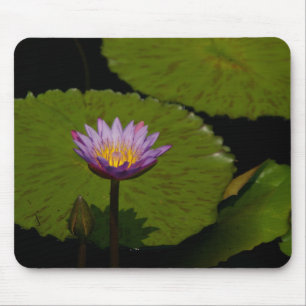 Purple Lotus Waterlily Mouse Pad