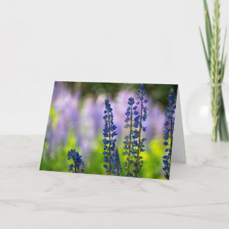 Purple Lupine Blank Greeting Card