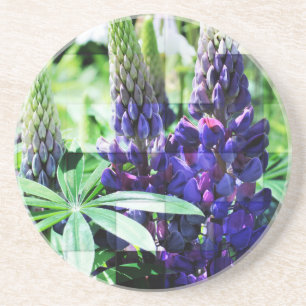 Purple Lupine Floral Coaster