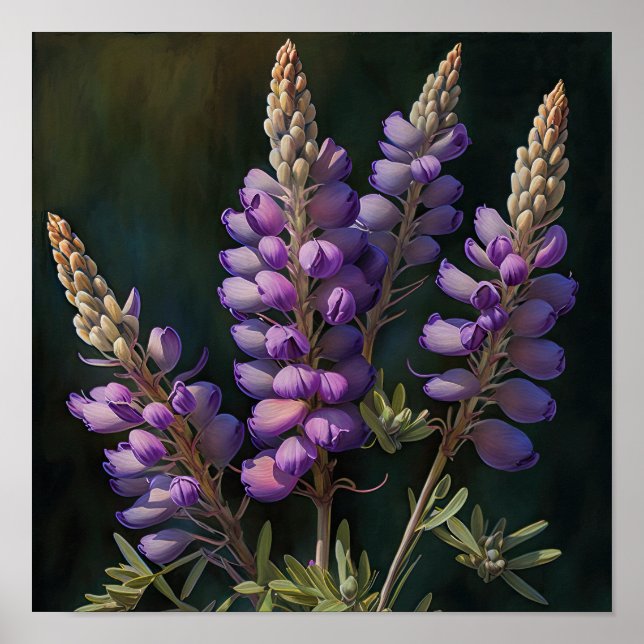 Purple Lupine Flower Art Print Poster (Front)