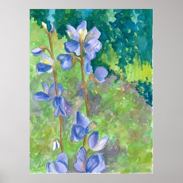 Purple Lupine Wildflowers Watercolor Landscape Poster (Front)