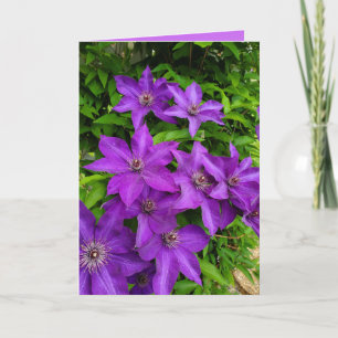 Purple Lupines Floral Keeping in Touch Blank Card