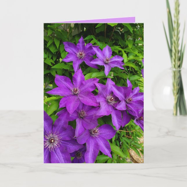 Purple Lupines Floral Thinking of You Card (Front)