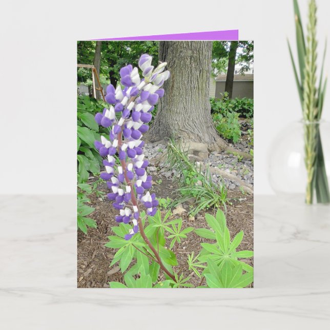 Purple Lupines Happy Birthday Mom Card (Front)