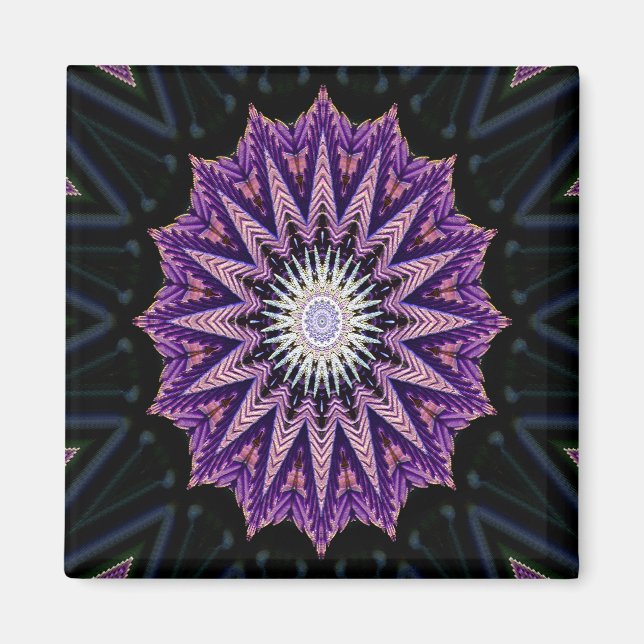 Purple...... Magnet (Front)