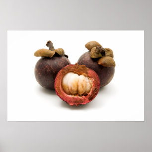 Purple Mangosteen Poster