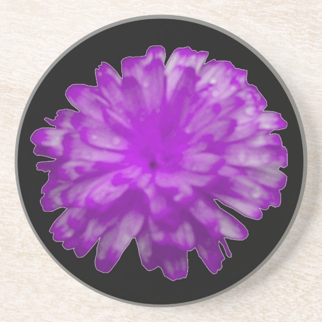 Purple Marigold Coasters (Front)