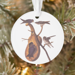 Purple Martin Audubon Bird Family and Gourd Home Ornament