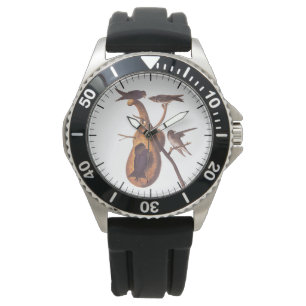 Purple Martin Audubon Birds with Gourd Home Watch