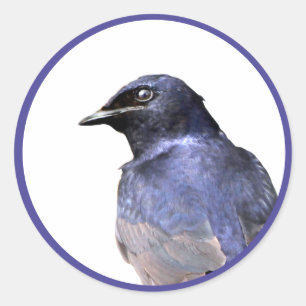 Purple Martin Classic Round Sticker