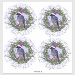 Purple Martin Holiday