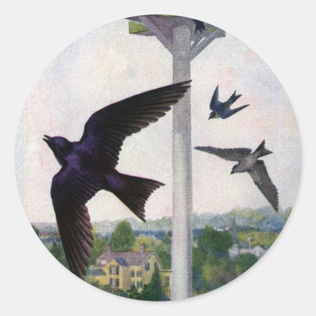 Purple Martins and Their Birdhouse Classic Round Sticker (Front)