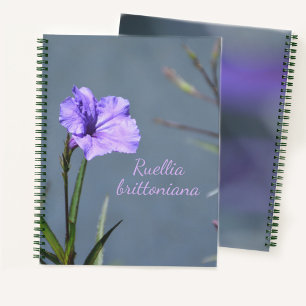 Purple Mexican Petunia Floral Customisable Notebook