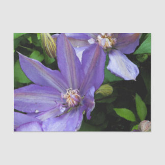 Purple Morning Glory Decoupage Tissue Paper