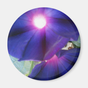 Purple Morning Glory Flower Magnet