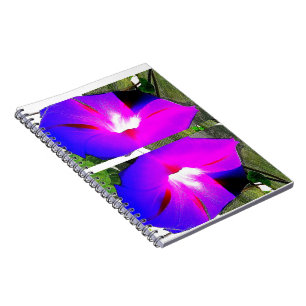 Purple Morning Glory Flower Spiral Notebook