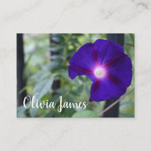Purple Morning Glory Garden Flower Nature Photo Business Card