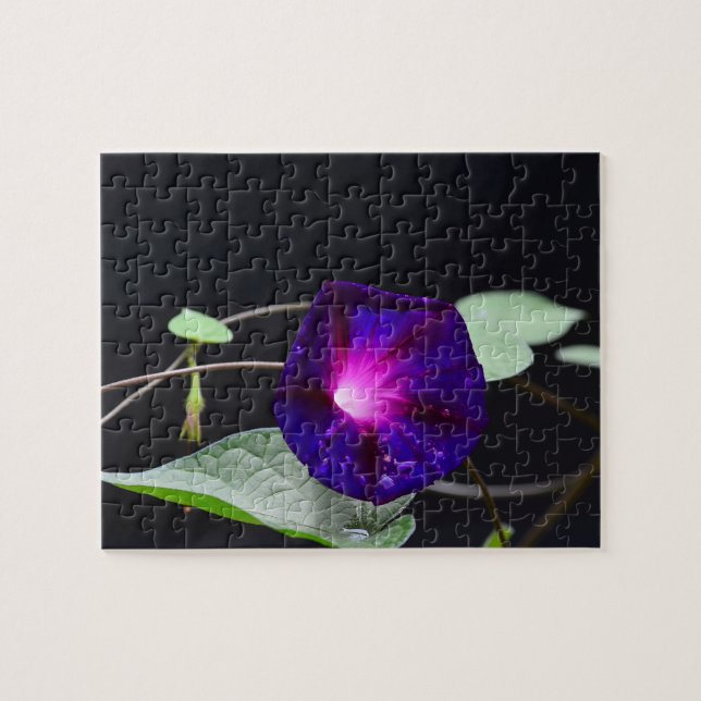 Purple morning glory Puzzle (Horizontal)