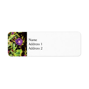 Purple Morning Glory Return Address Label