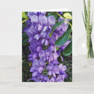Purple Mountain Laurel Card