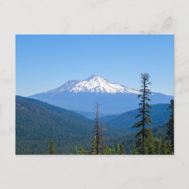 Purple Mountain Majesty (Mount Shasta, CA) Postcard (Front)