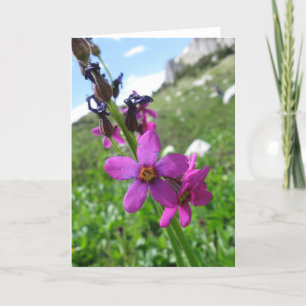 Purple Mountain Wildflower Note Card