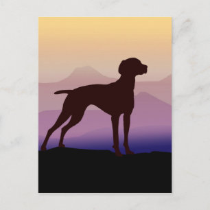 Purple Mountains Vizsla Postcard