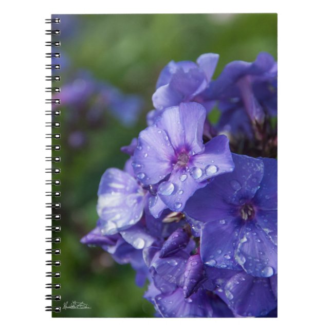 Purple notebook flower with the dew of the morning (Front)