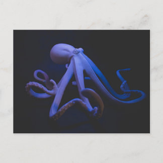Purple Octopus Postcard