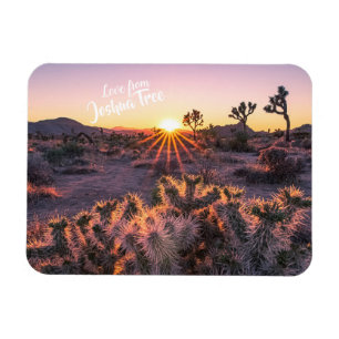 Purple Orange Cholla Cactus Joshua Tree Sunset Magnet