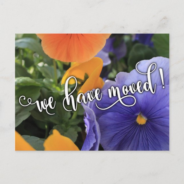 Purple/Orange Pansies Photo "We have moved" notice Announcement Postcard (Front)