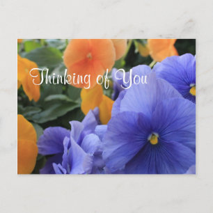 Purple & Orange Pansies w/ Green Floral Photo 4810 Postcard