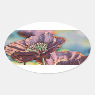 Purple orange red poppy flowers watercolor oval sticker