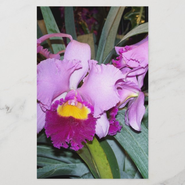 Purple Orchid (Front)