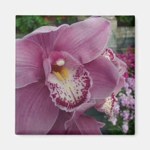 Purple Orchid and Garden Colourful Floral Magnet